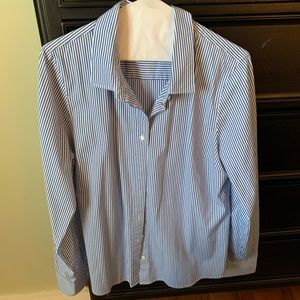 JCrew Blue and White Button Down